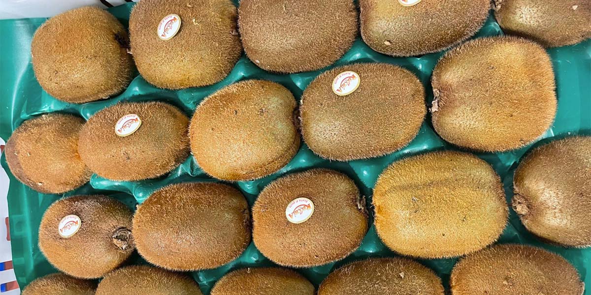 Kiwi, il prodotto greco mette all’angolo quello italiano